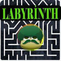 Labyrinth Game 1