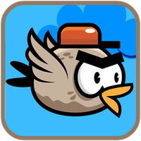 City Bird