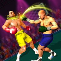 Tag Team Pro: Fighting Game 3D