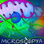 Microscopya