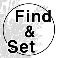 Find a Set ~ Advanced : Brain