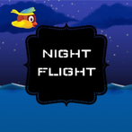 Night Flight