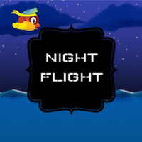 Night Flight