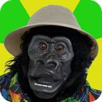 The Legend of Harambe