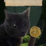 Dablooner The Dabloon Counter