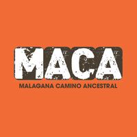 Maca