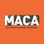 Maca