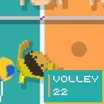Volley 22 - volleyball game