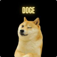Doge let's go to mars