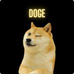 Doge  let's go to mars