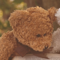 добрый мишка