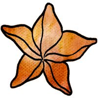 Karambola