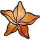 Karambola