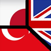 Offline Guess Flag Game