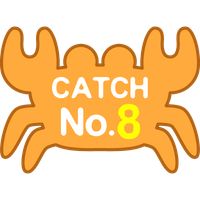 Catch No.8