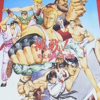 classic back fighter History
