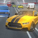 Mustang Fury Highway Race