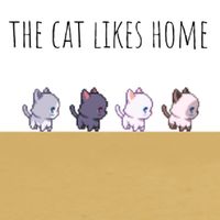 The cat likes home