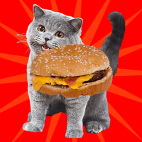 Can I Haz Cheezburger
