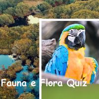 QUIZ FAUNA E FLORA