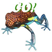 FrogGO!