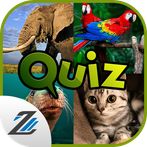 Picture Quiz