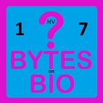 BoB Quiz 1HV7