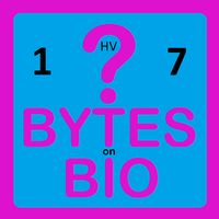 BoB Quiz 1HV7