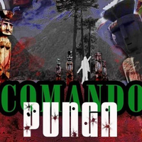 Comando Punga