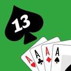 Terri - Classic Indian Card Ga