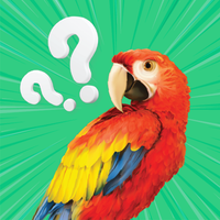 Guess the Bird Quiz: Word Game