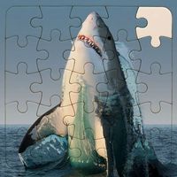 Rompecabezas de Tiburones