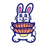 Beanie's Berry Basket