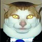 Monday left me broken cat maxw
