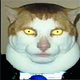Monday left me broken cat maxw