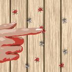 Real Mosquitoes: Bug Smasher I