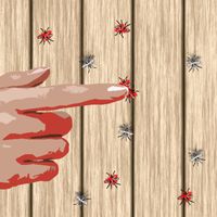 Real Mosquitoes: Bug Smasher I