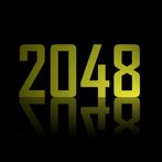 The Most Expensive Luxury 2048