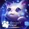Bright Paw
