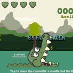 Croco feed