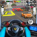 Bus Driver City Transport