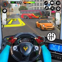 Bus Driver City Transport