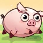 Cat Sort Puzzle: Cute Pet Game