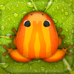 Pocket Frogs: Tiny Pond Keeper