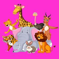 Animal Kingdom Puzzle