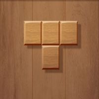 Block Wood Puzzle