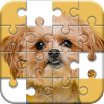 Jigsaw Puzzles Games Online