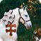 Jigsaw Puzzle Horses Edition