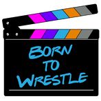 Born to Wrestle's Arcade Adven