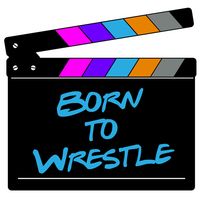 Born to Wrestle's Arcade Adven